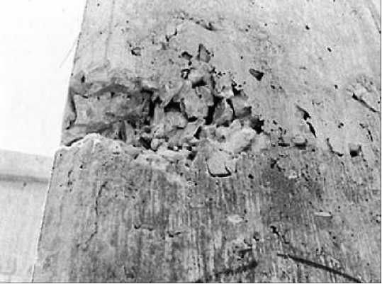 Betonda hasar etkenleri Peteklenme