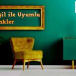 dekorasyonda yeşil ile uyumlu renkler